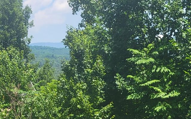 24 Mountain Knoll Lane, Warne, NC 28909