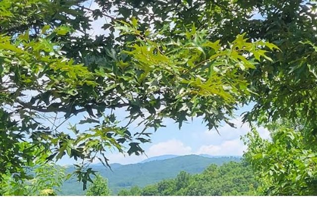 24 Mountain Knoll Lane, Warne, NC 28909