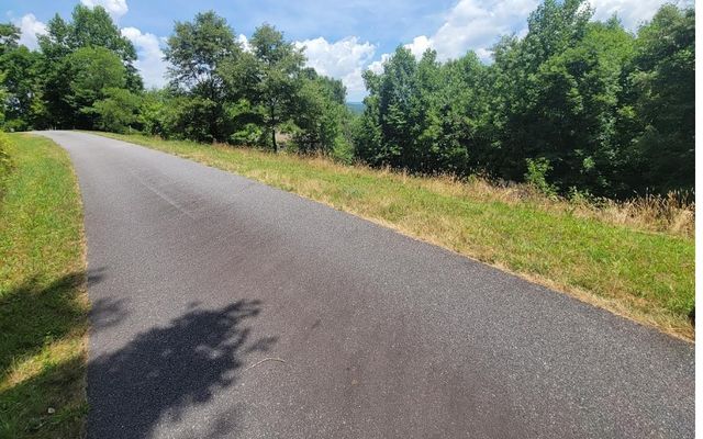 24 Mountain Knoll Lane, Warne, NC 28909