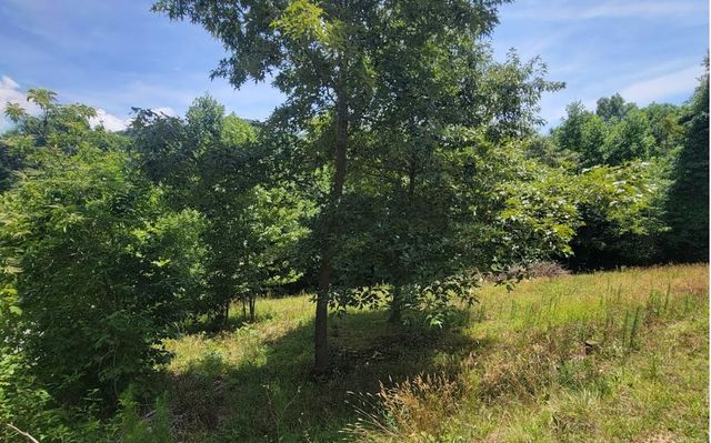 24 Mountain Knoll Lane, Warne, NC 28909