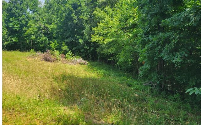 24 Mountain Knoll Lane, Warne, NC 28909