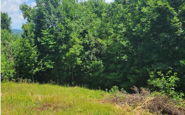 24 Mountain Knoll Lane, Warne, NC 28909