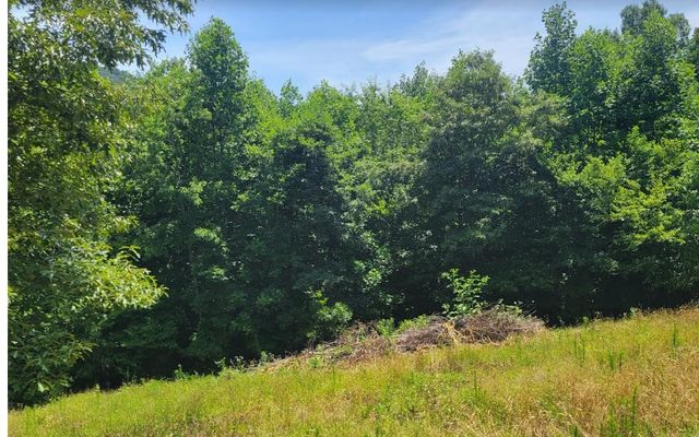 24 Mountain Knoll Lane, Warne, NC 28909