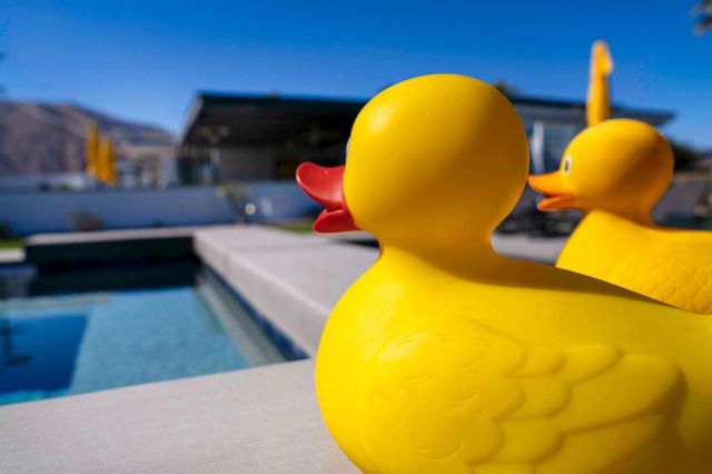 323 W Palm Vista Drive, Palm Springs, CA 92262