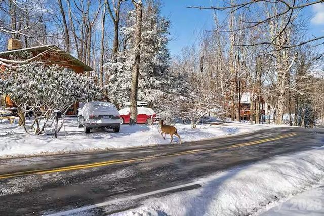 701 Charter Hills Road, Beech Mountain, NC 28604