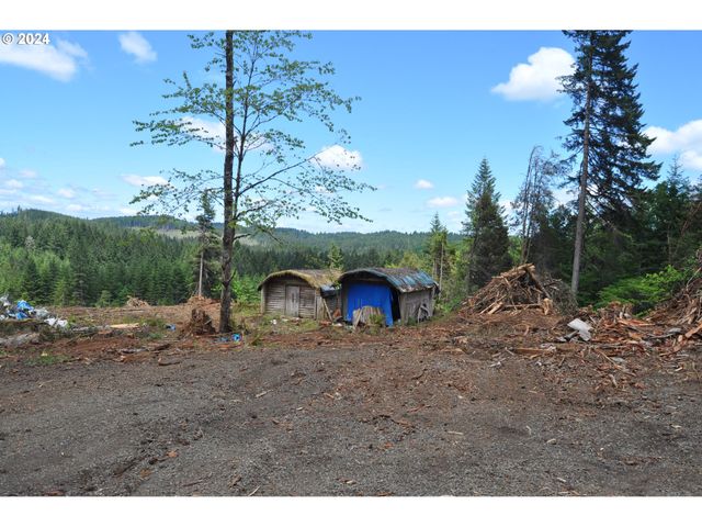 89975 SHEFFLER Rd, Elmira, OR 97437