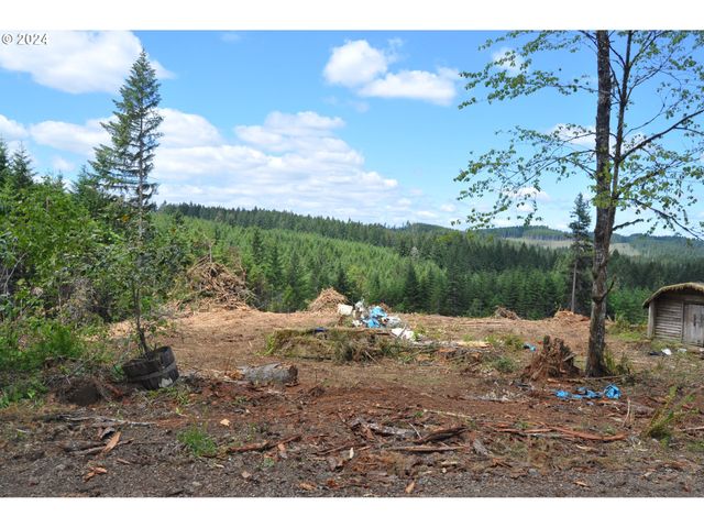 89975 SHEFFLER Rd, Elmira, OR 97437