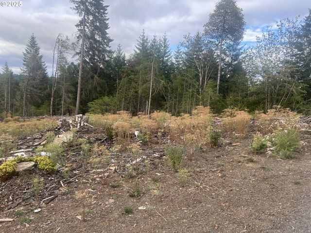 89975 SHEFFLER Rd, Elmira, OR 97437