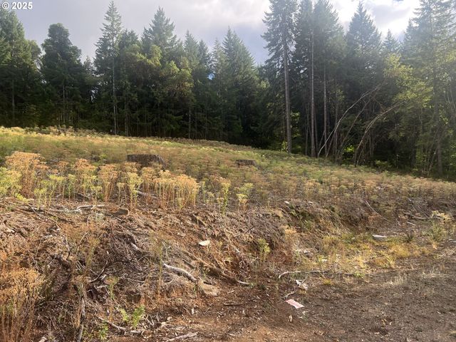 89975 SHEFFLER Rd, Elmira, OR 97437