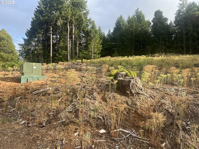 89975 SHEFFLER Rd, Elmira, OR 97437