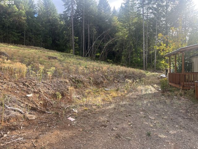 89975 SHEFFLER Rd, Elmira, OR 97437