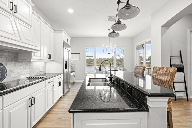 527 W BLUE WATER EDGE DRIVE, Eustis, FL 32736