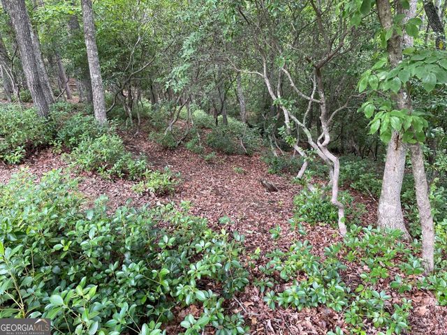 LOT 57 Asheland Overlook 57, Young Harris, GA 30582