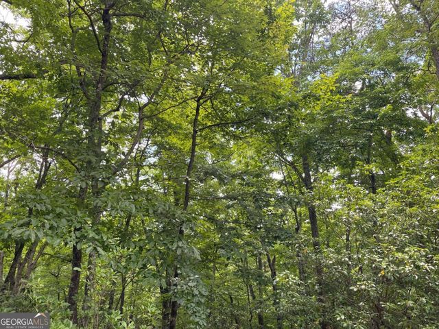 LOT 57 Asheland Overlook 57, Young Harris, GA 30582