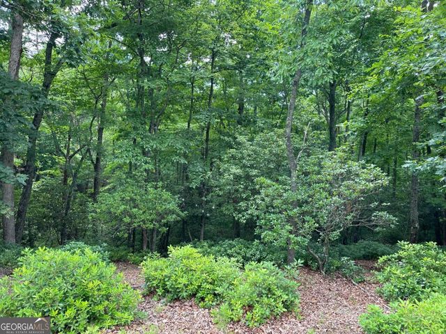 LOT 57 Asheland Overlook 57, Young Harris, GA 30582