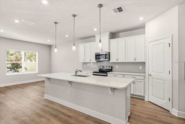 1710 SUMMER ROSE DRIVE, Mount Dora, FL 32757