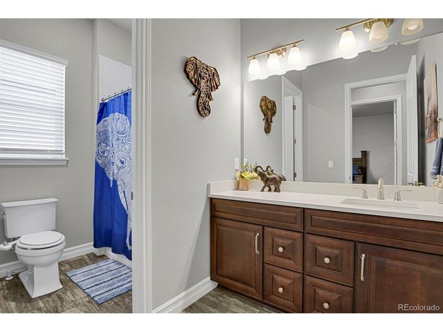 12938 Bridge View Ln, Parker, CO 80134