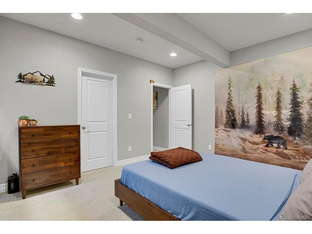 12938 Bridge View Ln, Parker, CO 80134