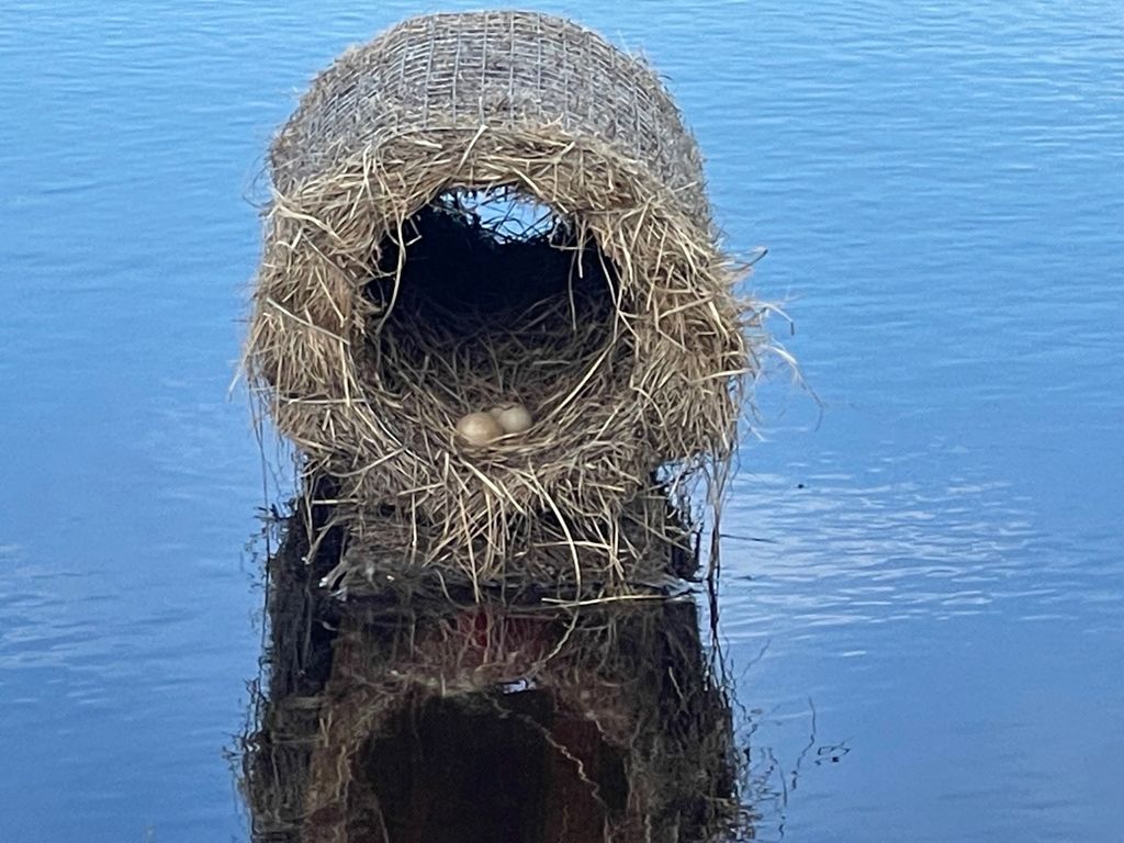 203 Hart Bench Road, Darby, MT 59829 photo 37