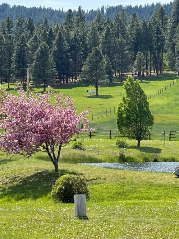 203 Hart Bench Road, Darby, MT 59829 photo 50