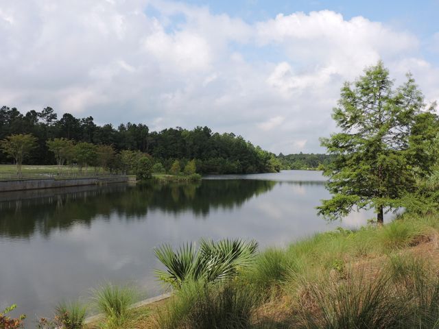 128 Red Bay Lane, Summerville, SC 29483