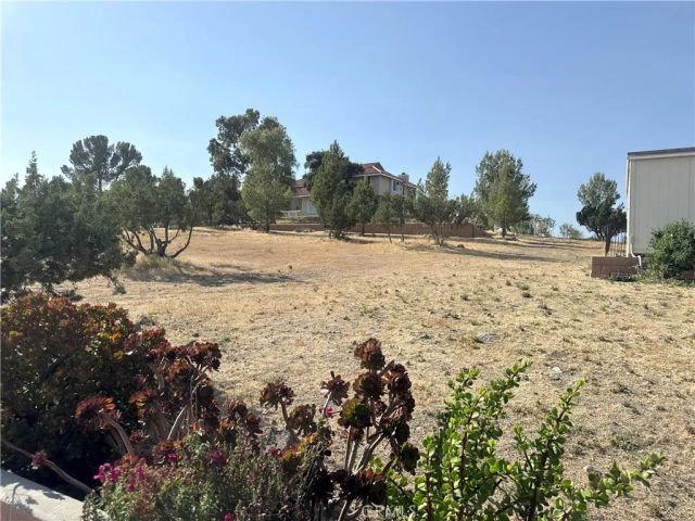 32080 Avenida Donari, Agua Dulce, CA 91390