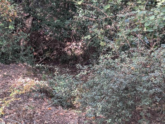 148 Springdale Drive, Union, SC 29379