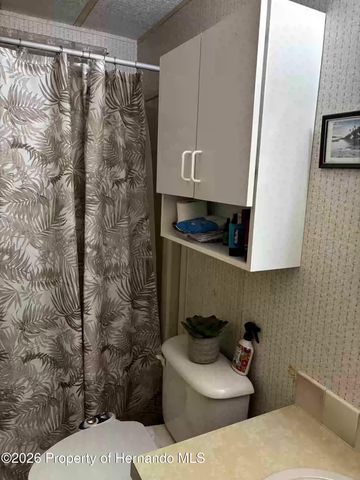 14311 Nectarine Street, Spring Hill, FL 34613