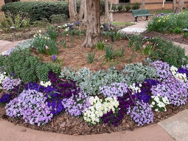 1800 Clairmont Lake 522, Decatur, GA 30033