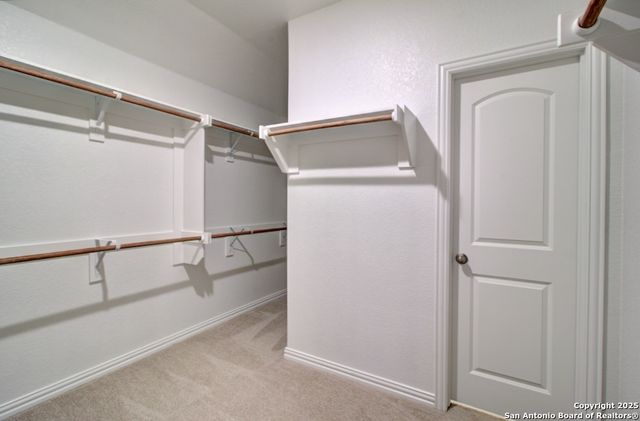 810 Saltbush Street, New Braunfels, TX 78130