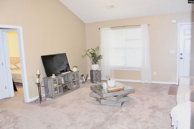 336 Cane Brake Circle, Columbia, SC 29223