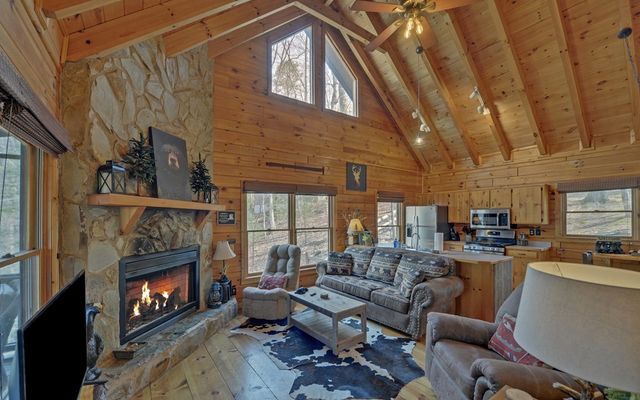 184 Smith Hill Road, Cherry Log, GA 30522