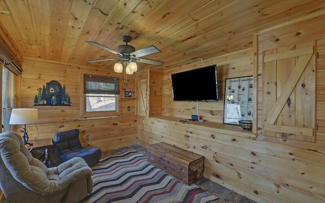 184 Smith Hill Road, Cherry Log, GA 30522