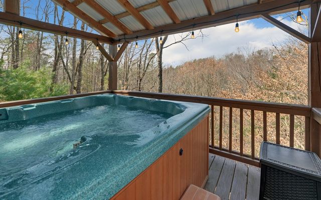 184 Smith Hill Road, Cherry Log, GA 30522