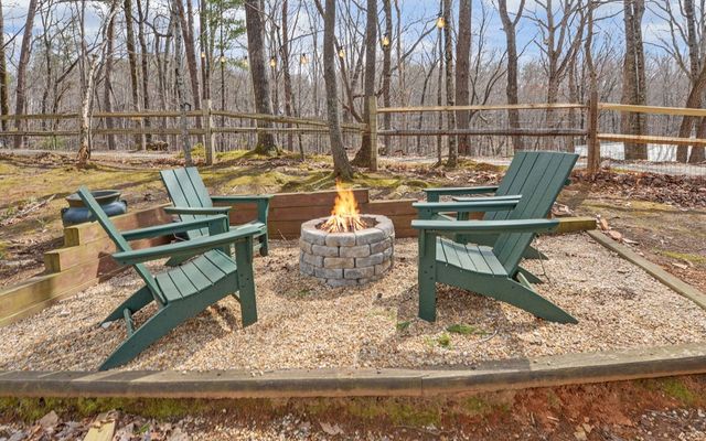 184 Smith Hill Road, Cherry Log, GA 30522