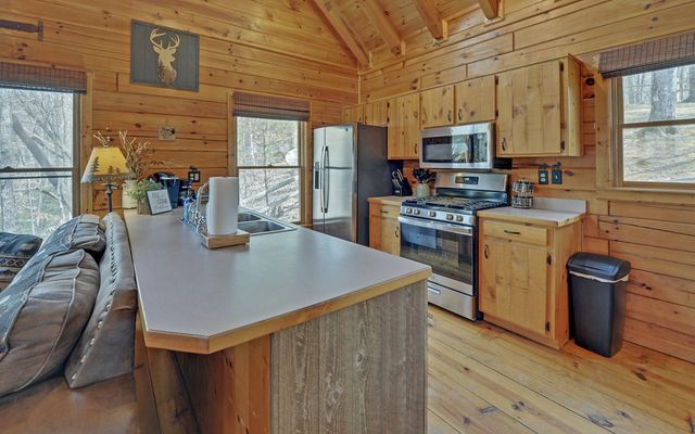 184 Smith Hill Road, Cherry Log, GA 30522