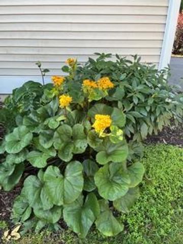 12 Oak Creek Trail, Madison, WI 53717