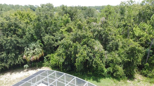 468 PINEWOOD DR, Davenport, FL 33896