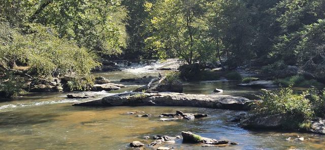 63 Misty Oaks Court, Ellijay, GA 30536