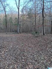 0 VALLEY CIRCLE, Warrior, AL 35180