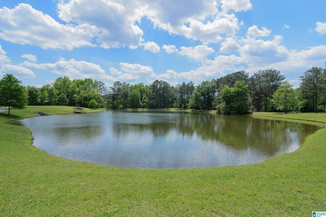 1005 BELVEDERE COVE, Hoover, AL 35242