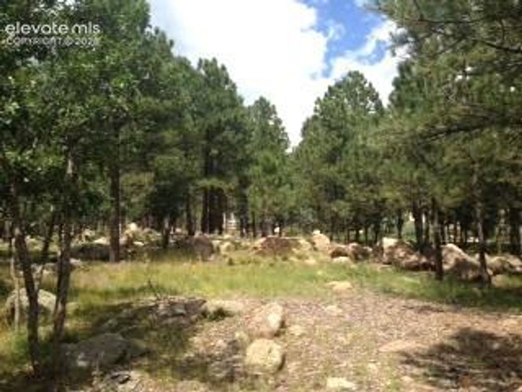 667 Silver Oak Grove, Colorado Springs, CO 80906 — exterior