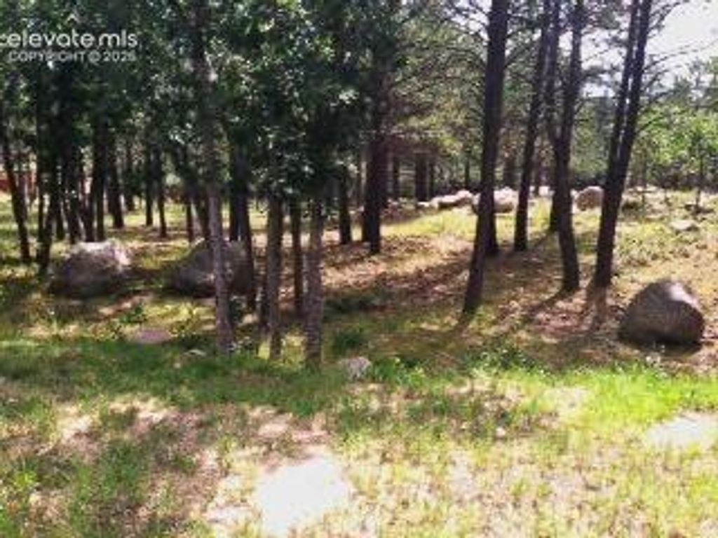 667 Silver Oak Grove, Colorado Springs, CO 80906 — photo 2