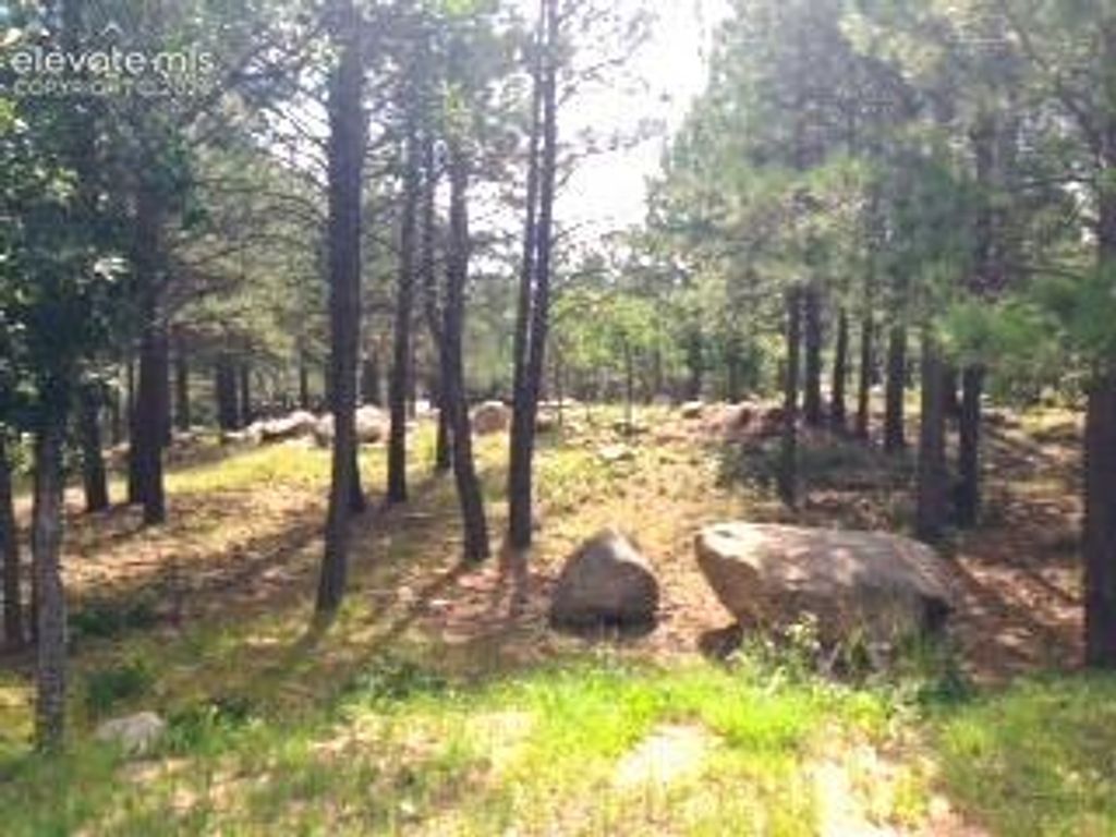 667 Silver Oak Grove, Colorado Springs, CO 80906 — photo 3