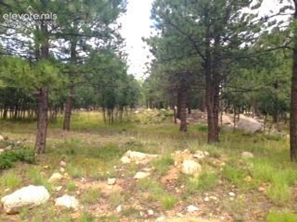 667 Silver Oak Grove, Colorado Springs, CO 80906 — photo 5