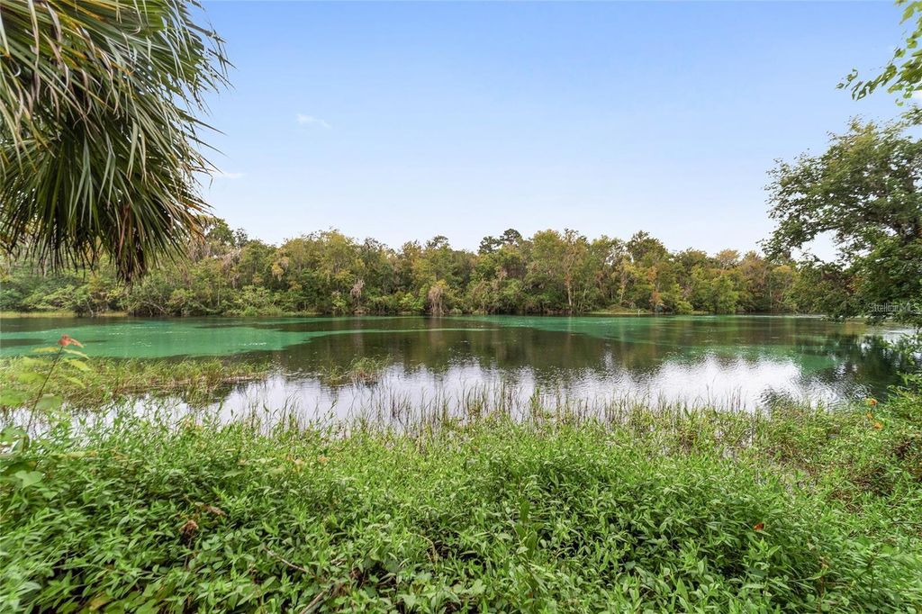 Image 51 of property listing at 7974 SW 181ST CIRCLE, Dunnellon, FL 34432