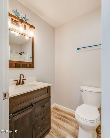 248 River Edge Drive, Kingsport, TN 37660