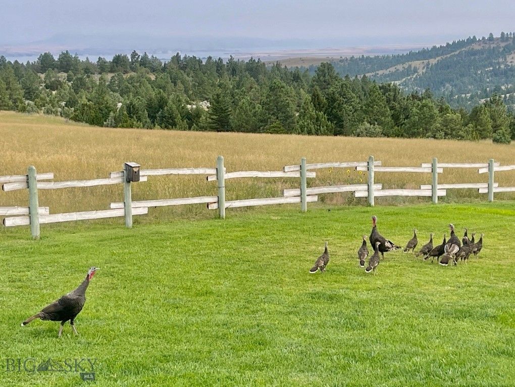 83 Big Country Drive, Townsend, MT 59644 photo 68