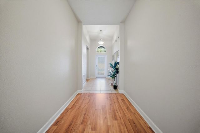 11209 FLORA SPRINGS DRIVE, Riverview, FL 33579