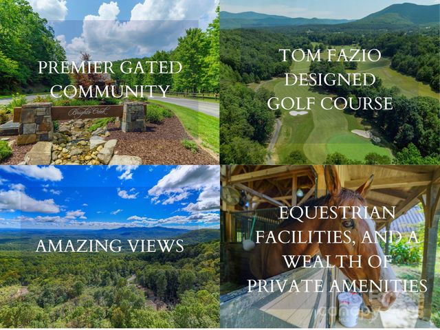 000 Deep Gap Farm Drive 237-2021, Mill Spring, NC 28756